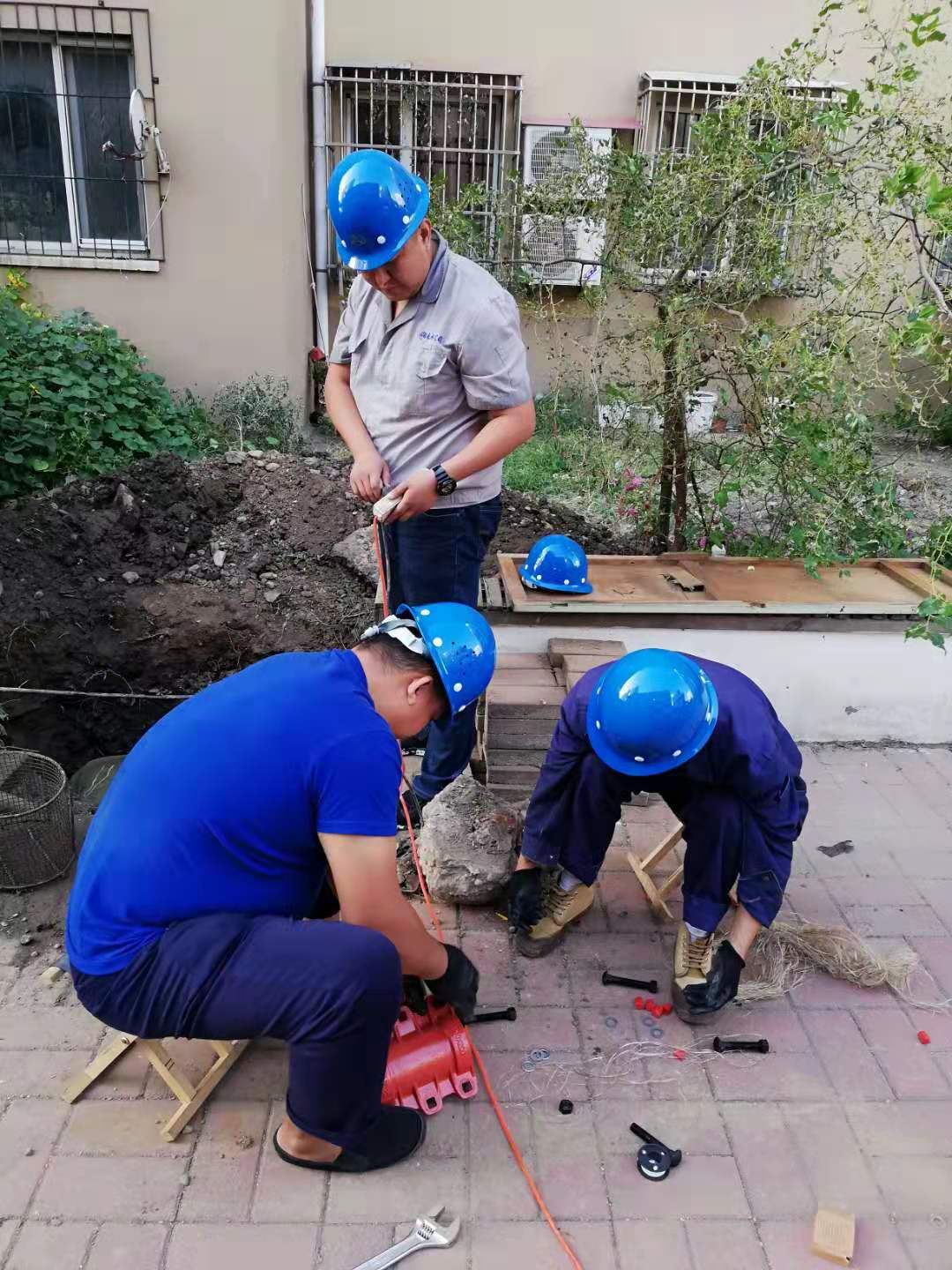 成人网