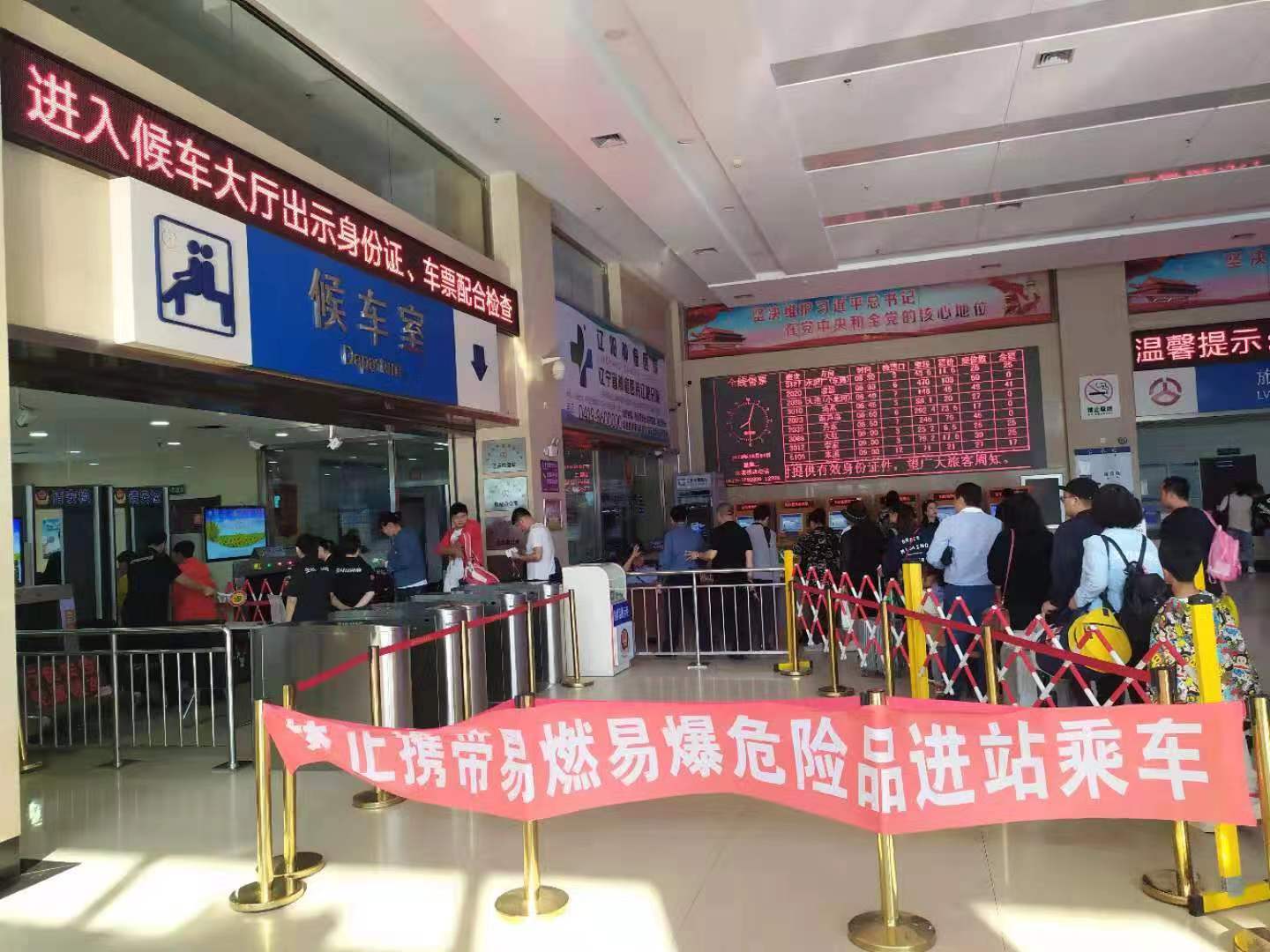 成人网