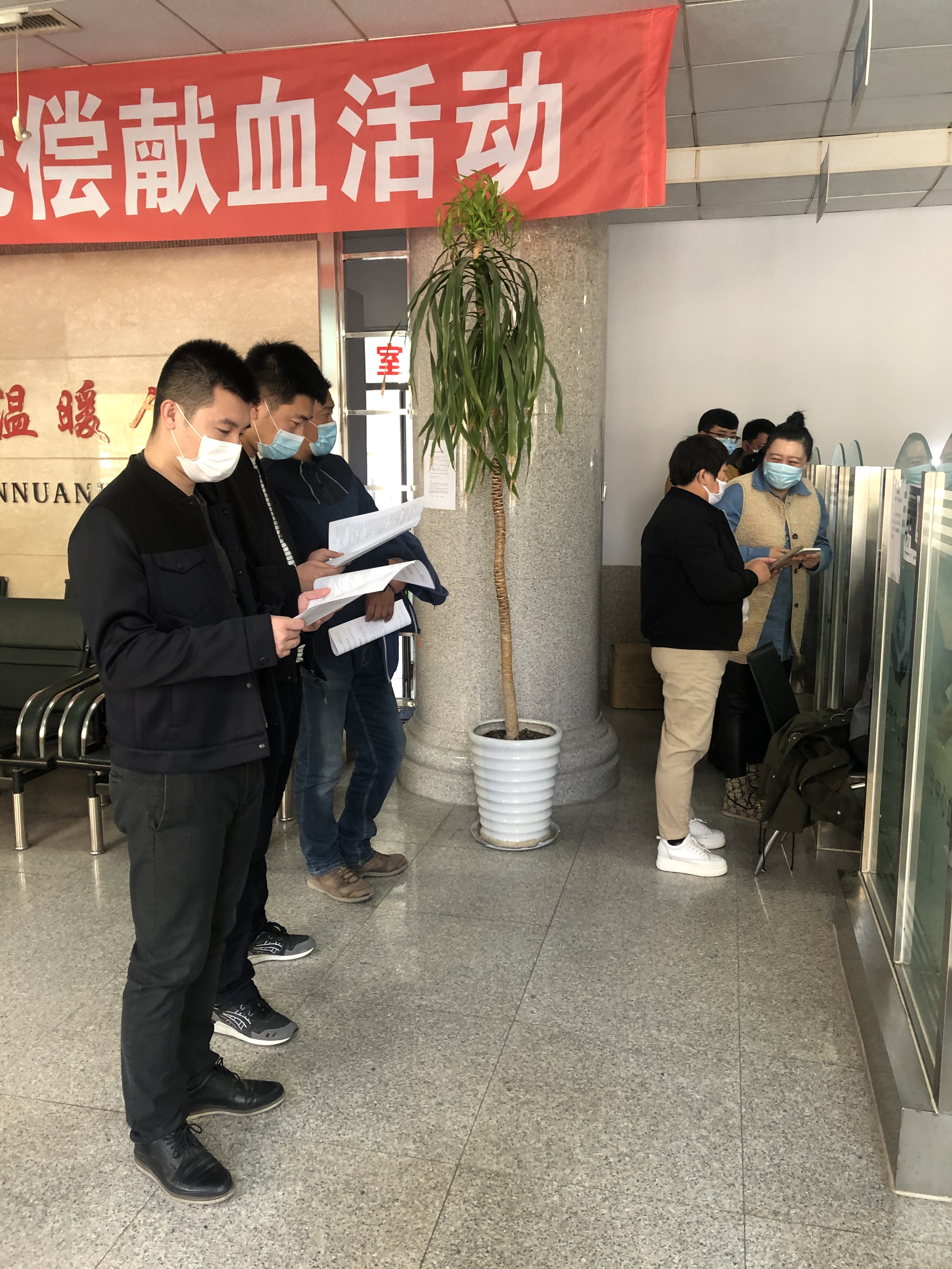 成人网