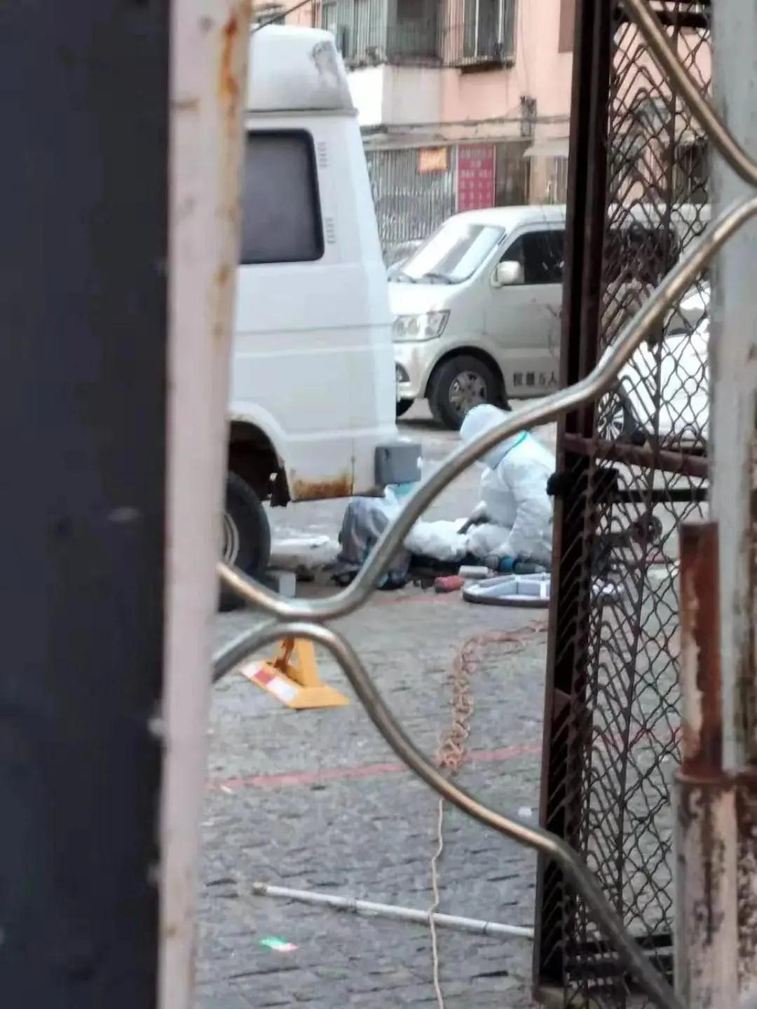 成人网