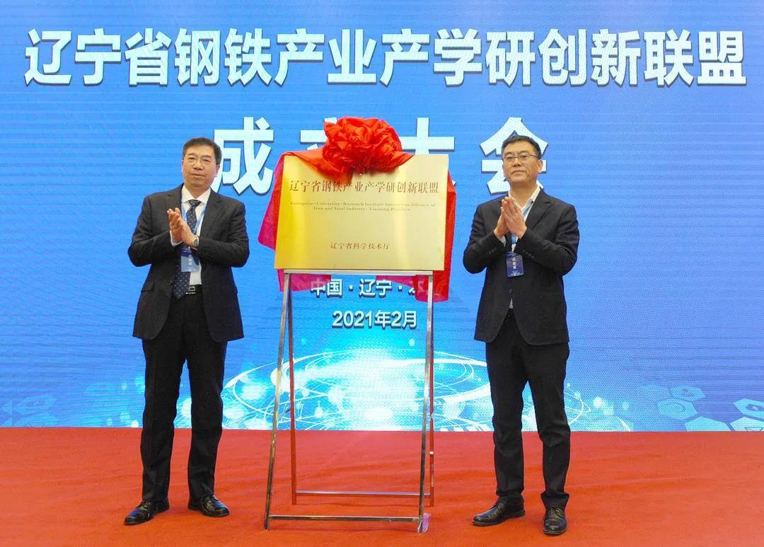 成人网