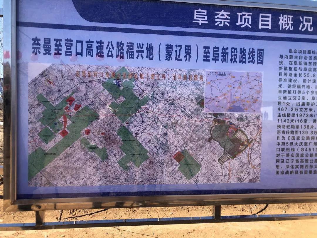 成人网