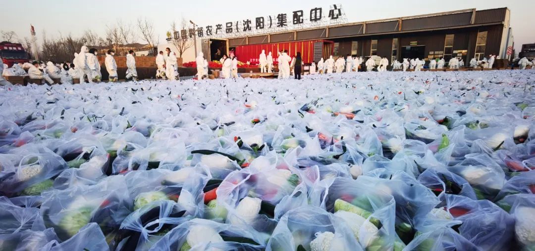 成人网