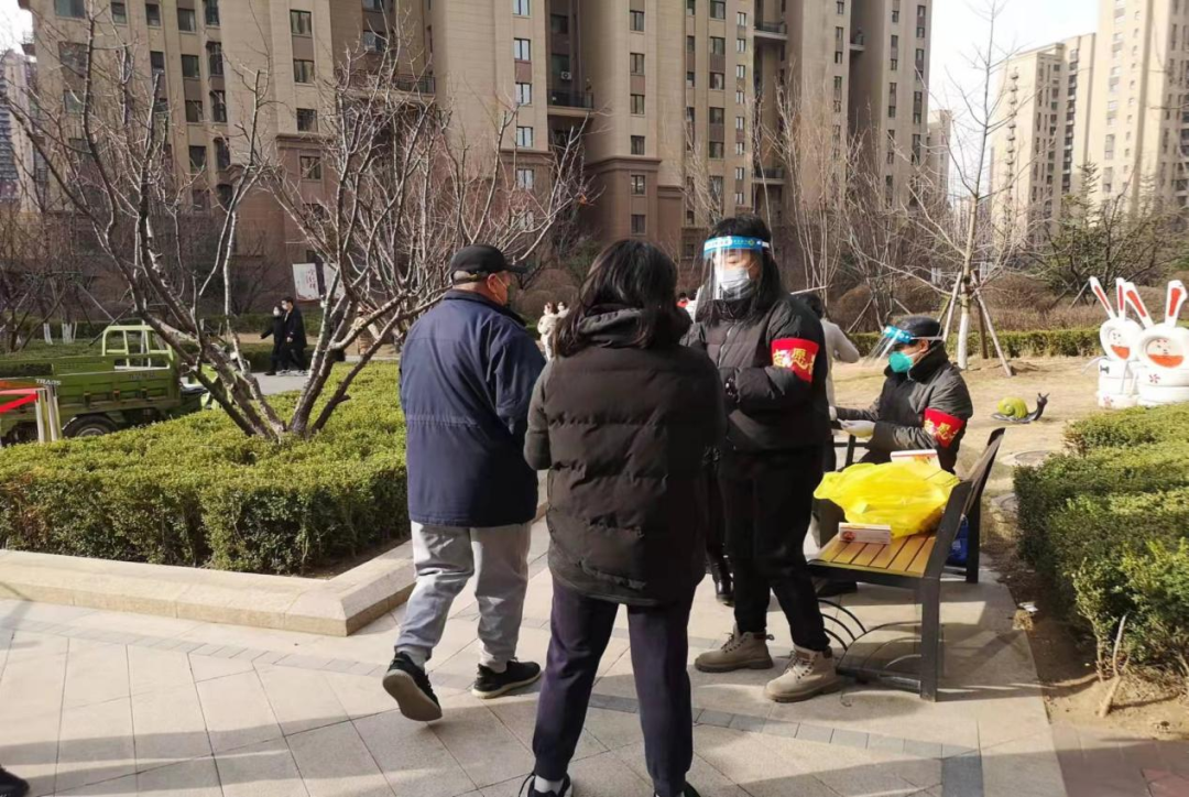 成人网