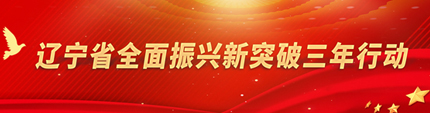 成人网
