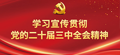 成人网