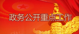 成人网